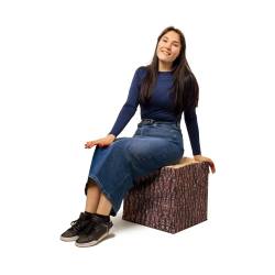 Asiento Cubo Personalizable ejemplo de uso